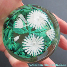 Load image into Gallery viewer, Scottish Caithness Glass Paperweight: Wildflower Collection Issue 2006 Daisies
