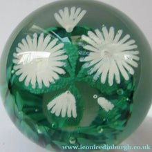 Load image into Gallery viewer, Scottish Caithness Glass Paperweight: Wildflower Collection Issue 2006 Daisies
