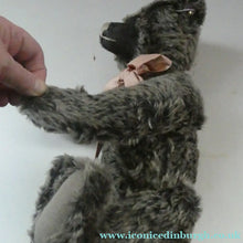 Load image into Gallery viewer, LARGE Steiff Bear with GROWLER. Limited Edition 2007. British Collector's Club. "Old Black Bear"
