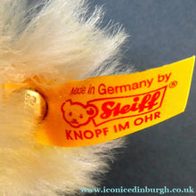 Load image into Gallery viewer, Limited Edition Danbury Mint / Steiff PISCES Small White Mohair Teddy Bear. 9 inches
