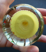 Load image into Gallery viewer, VASART Scottish Glass Paperweight with 5 Spokes; with yellow ground
