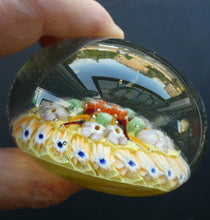 Load image into Gallery viewer, VASART Scottish Glass Paperweight with 5 Spokes; with yellow ground
