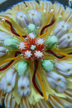Load image into Gallery viewer, VASART Scottish Glass Paperweight with 5 Spokes; with yellow ground
