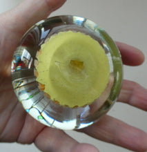 Load image into Gallery viewer, VASART Scottish Glass Paperweight with 5 Spokes; with yellow ground
