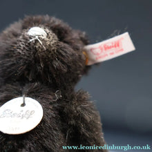 Load image into Gallery viewer, BOXED Collectable Miniature Steiff Club Membership Gift 2009. Black Alpaca Bear (420962)
