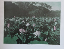 Load image into Gallery viewer, 1906 ANTIQUE Hardback Publication. Japan In Pictures by Douglas Sladen (Published George Newnes)
