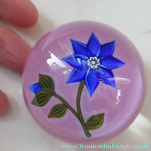Load image into Gallery viewer, Scottish Paperweight Peter McDougall Blue Lampwork Flower 2014
