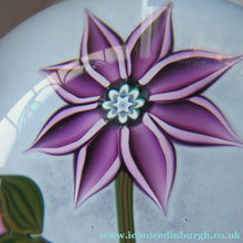 Load image into Gallery viewer, Scottish Paperweight Peter McDougall Pink Flower 2014
