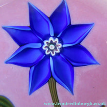 Load image into Gallery viewer, Scottish Paperweight Peter McDougall Blue Lampwork Flower 2014Scottish Paperweight Peter McDougall Blue Lampwork Flower 2014
