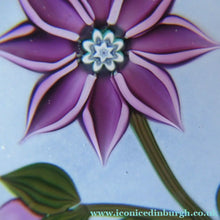 Load image into Gallery viewer, Scottish Paperweight Peter McDougall Pink Flower 2014
