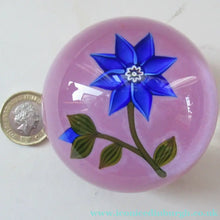 Load image into Gallery viewer, Scottish Paperweight Peter McDougall Blue Lampwork Flower 2014

