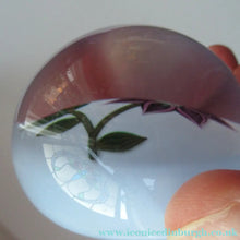 Load image into Gallery viewer, Scottish Paperweight Peter McDougall Pink Flower 2014
