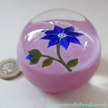 Load image into Gallery viewer, Scottish Paperweight Peter McDougall Blue Lampwork Flower 2014
