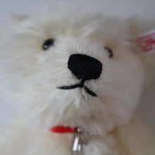 Load image into Gallery viewer, BOXED: Highly Collectable Vintage 2005 SWAROVSKI STEIFF BEAR with Christmas Crysal Star Pendant (668401)
