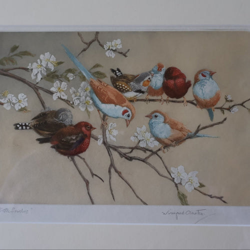 Pretty 1930s ORIGINAL Colour Etching of Little Birds Sitting on a Branch by Winifred Austen (1876 - 1964).  Pencil Signed
