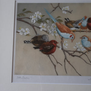 Pretty 1930s ORIGINAL Colour Etching of Little Birds Sitting on a Branch by Winifred Austen (1876 - 1964).  Pencil Signed