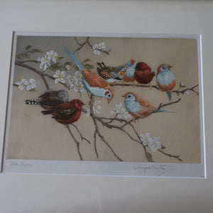 Pretty 1930s ORIGINAL Colour Etching of Little Birds Sitting on a Branch by Winifred Austen (1876 - 1964).  Pencil Signed
