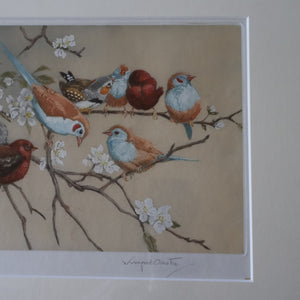 Pretty 1930s ORIGINAL Colour Etching of Little Birds Sitting on a Branch by Winifred Austen (1876 - 1964).  Pencil Signed