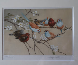 Pretty 1930s ORIGINAL Colour Etching of Little Birds Sitting on a Branch by Winifred Austen (1876 - 1964).  Pencil Signed