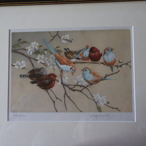 Pretty 1930s ORIGINAL Colour Etching of Little Birds Sitting on a Branch by Winifred Austen (1876 - 1964).  Pencil Signed