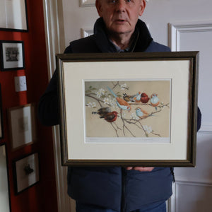 Pretty 1930s ORIGINAL Colour Etching of Little Birds Sitting on a Branch by Winifred Austen (1876 - 1964).  Pencil Signed
