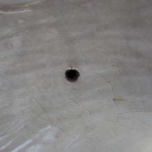 Load image into Gallery viewer, LARGE Antique Victorian STAFFORDSHIRE Figurine. Kilted Scotsman on Horseback. 14 1/2 inches height. Great Display Piece
