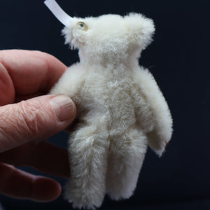 BOXED Collectable Miniature Steiff Club Membership Gift 2008. White Alpaca Bear with Certificate (420832)
