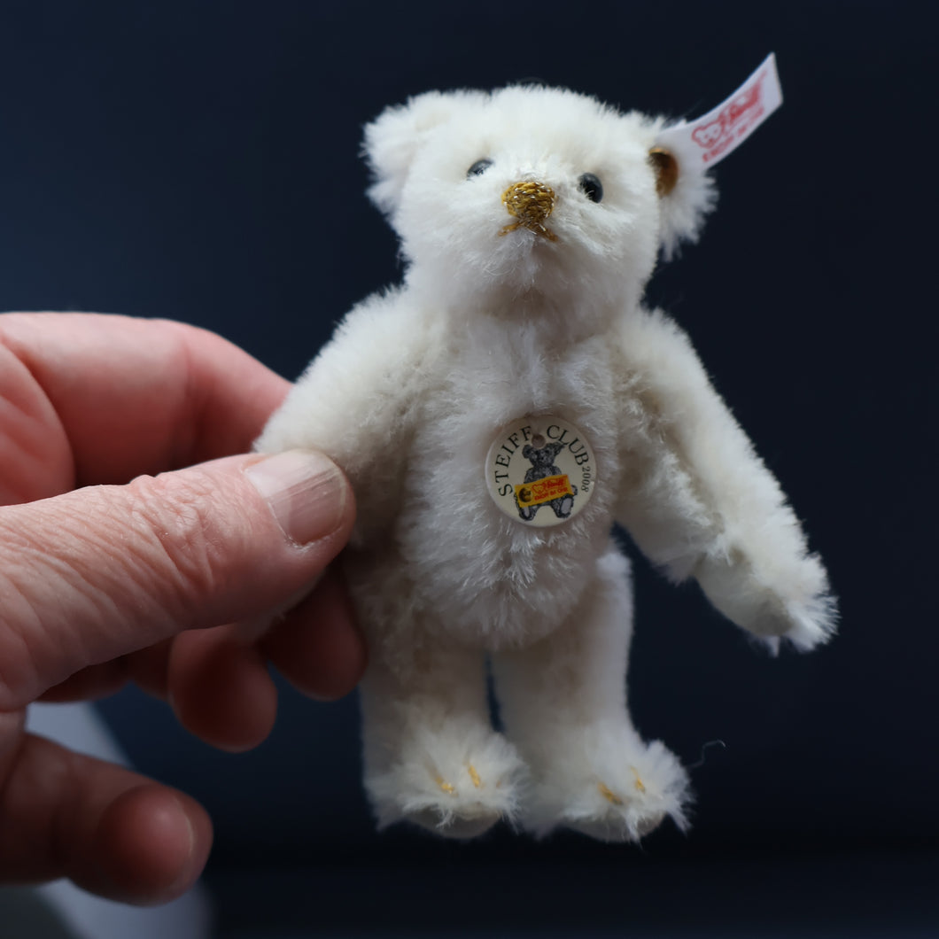 BOXED Collectable Miniature Steiff Club Membership Gift 2008. White Alpaca Bear with Certificate (420832)