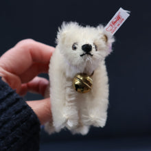 Load image into Gallery viewer, BOXED Collectable Miniature Steiff Club Membership Gift. Polar Bear (EAN 420511)
