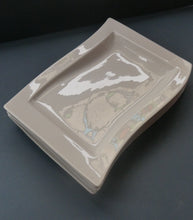 Load image into Gallery viewer, Villeroy and Boch &quot;New Wave&quot; Large Oblong Dinner Plates
