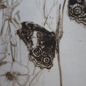 SCOTTISH ART: Katherine (Kate) Cameron (1874- 1965). Large 1920s Etching with Butterflies and Harebells. SIGNED