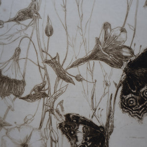 SCOTTISH ART: Katherine (Kate) Cameron (1874- 1965). Large 1920s Etching with Butterflies and Harebells. SIGNED