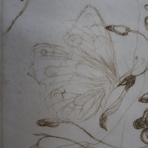 SCOTTISH ART: Katherine (Kate) Cameron (1874- 1965). Large 1920s Etching with Butterflies and Harebells. SIGNED