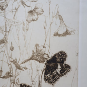 SCOTTISH ART: Katherine (Kate) Cameron (1874- 1965). Large 1920s Etching with Butterflies and Harebells. SIGNED