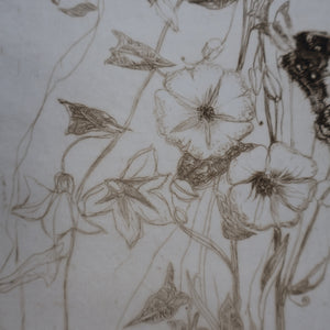 SCOTTISH ART: Katherine (Kate) Cameron (1874- 1965). Large 1920s Etching with Butterflies and Harebells. SIGNED