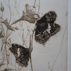 SCOTTISH ART: Katherine (Kate) Cameron (1874- 1965). Large 1920s Etching with Butterflies and Harebells. SIGNED