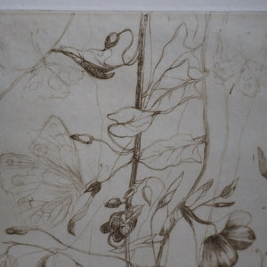 SCOTTISH ART: Katherine (Kate) Cameron (1874- 1965). Large 1920s Etching with Butterflies and Harebells. SIGNED