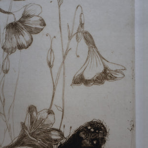SCOTTISH ART: Katherine (Kate) Cameron (1874- 1965). Large 1920s Etching with Butterflies and Harebells. SIGNED