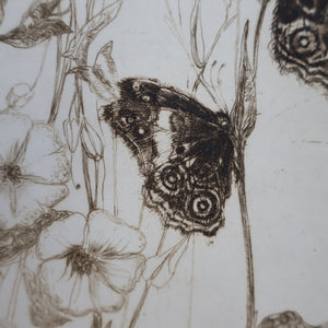SCOTTISH ART: Katherine (Kate) Cameron (1874- 1965). Large 1920s Etching with Butterflies and Harebells. SIGNED