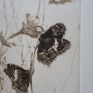 SCOTTISH ART: Katherine (Kate) Cameron (1874- 1965). Large 1920s Etching with Butterflies and Harebells. SIGNED