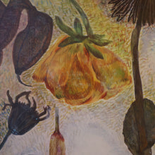 Load image into Gallery viewer, SCOTTISH ART. 2002 Gouache &amp; Wax Drawing by Sylvia von Hartmann Entitled "Botanical Assembly"
