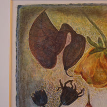 Load image into Gallery viewer, SCOTTISH ART. 2002 Gouache &amp; Wax Drawing by Sylvia von Hartmann Entitled "Botanical Assembly"
