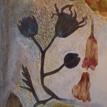 Load image into Gallery viewer, SCOTTISH ART. 2002 Gouache &amp; Wax Drawing by Sylvia von Hartmann Entitled "Botanical Assembly"
