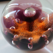 Load image into Gallery viewer, EARLY 1972 Caithness Paperweight SUNFLOWER. Designed by Colin Terris. Limited edition 500
