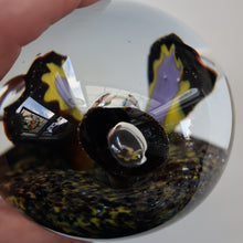 Load image into Gallery viewer, EARLY 1972 Caithness Paperweight TROPICANA (Purple). Designed by Peter Holmes. Limited edition 500
