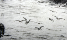 Load image into Gallery viewer, ORIGINAL ETCHING: William Lionel Wyllie (1851 – 1931) NEWCASTLE-UPON-TYNE Pencil Signed
