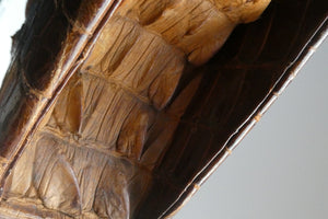Vintage 1930s ART DECO Hornback Crocodile with Brass Enamel Metal Frame and Fancy Brass Clasp