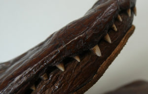 1940s / 1950s Vintage Genuine Hornback Alligator Handbag with Head and Legs