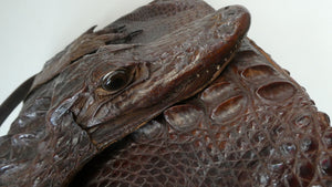 1940s / 1950s Vintage Genuine Hornback Alligator Handbag with Head and Legs