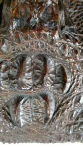 1940s / 1950s Vintage Genuine Hornback Alligator Handbag with Head and Legs